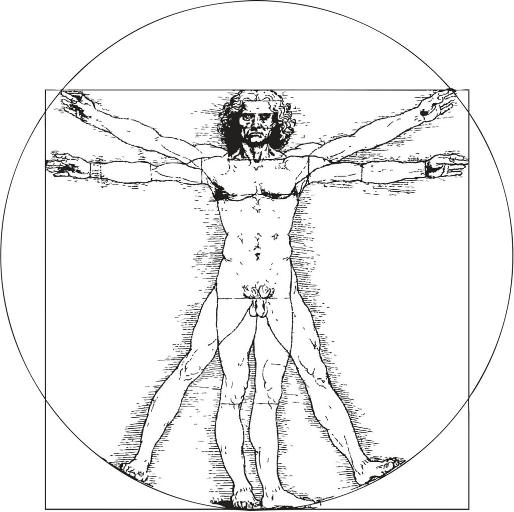 DaVinci's anatomy drawing